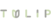 Tulip Juvenile